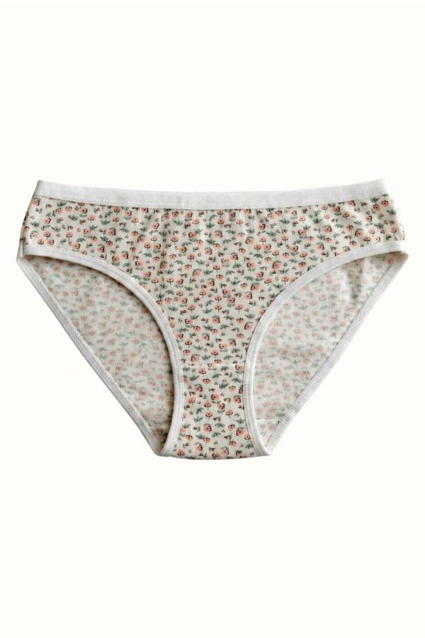 110bb0972bee47b09fc17cee67a794e7.jpg Berrak Kadın Desenli Bikini Külot 8664-25