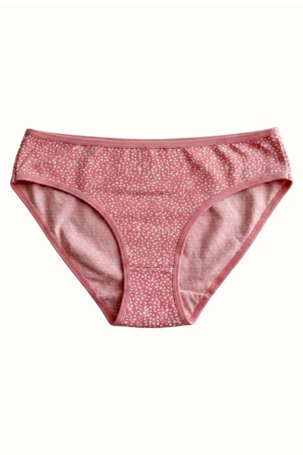 281b2c89a2564885b42971dc4cd0bf6e.jpg Berrak Kadın Desenli Bikini Külot 8664-14