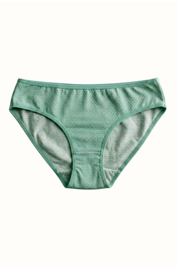 Berrak Kadın Desenli Bikini Külot 8664-6