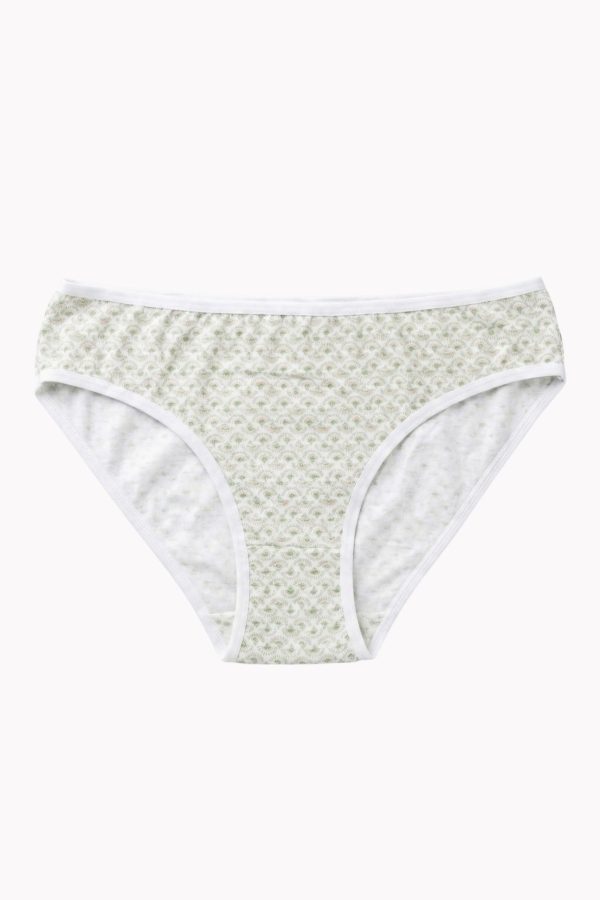 65de2aab1eda46cbaf26da681f34936e.jpg Berrak Kadın Desenli Bikini Külot 8663-1