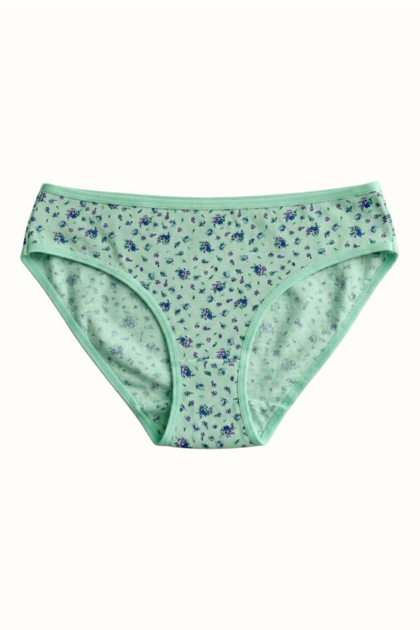 Berrak Kadın Desenli Bikini Külot 8664-9