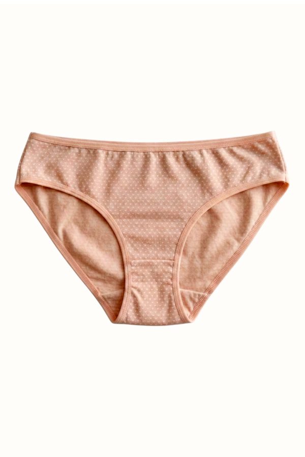 Berrak Kadın Desenli Bikini Külot 8664-4