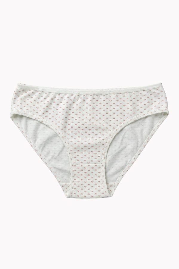 d72cd70bcd03493ba5a944b05c217319.jpg Berrak Kadın Desenli Bikini Külot 8663-4