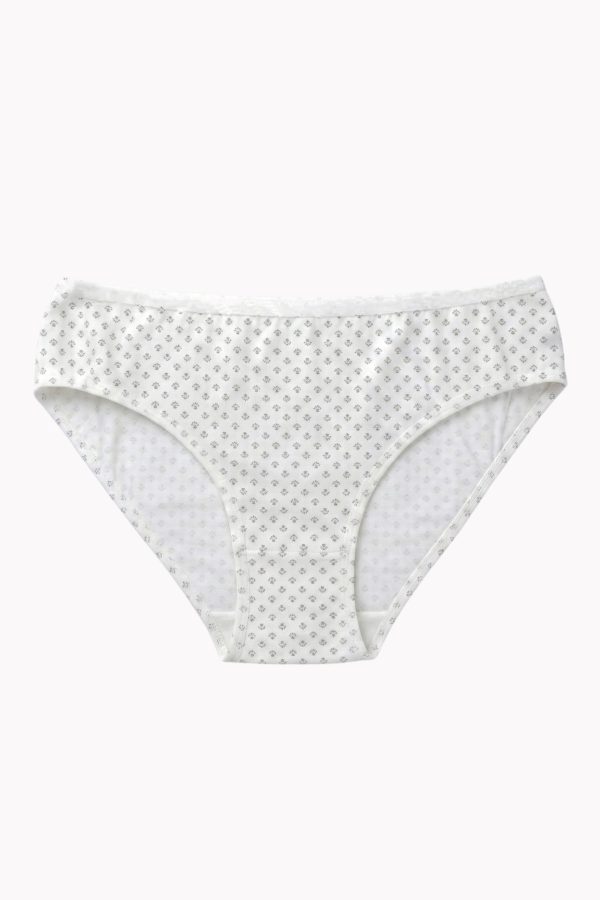 e6f2b340ac88453c8711d1a74f348d97.jpg Berrak Kadın Desenli Bikini Külot 8663-8