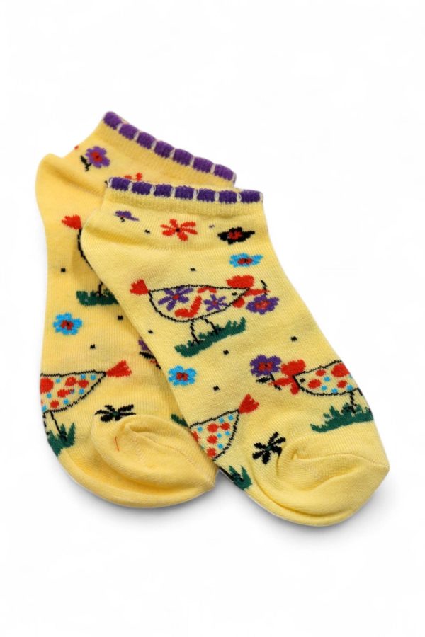 02a5ee800601473baa22db5b62edbbac.jpg Vakre Socks Bayan Patik Çorap (36-40) 9004-1
